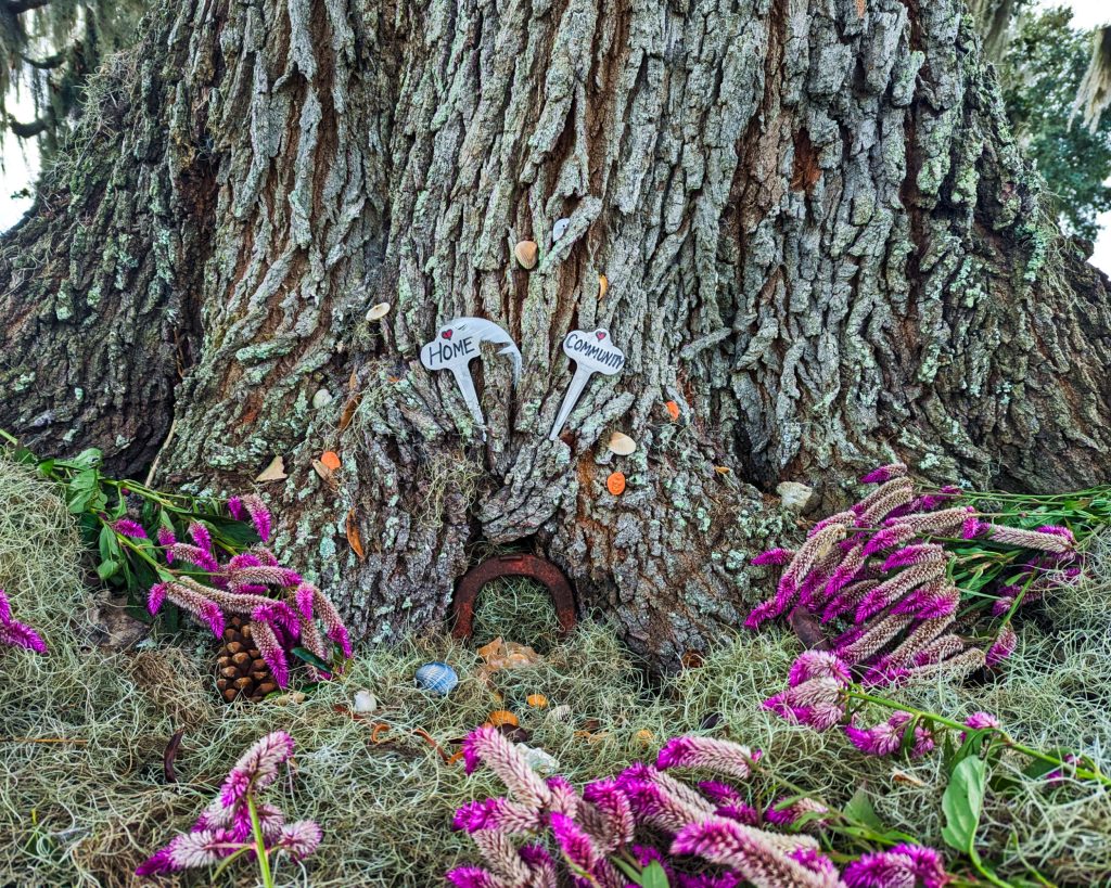 Live Oak Tree Intention